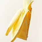 Yellow Jacket